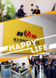 专业网站建设/网站设计/网站优化,雪奥科技