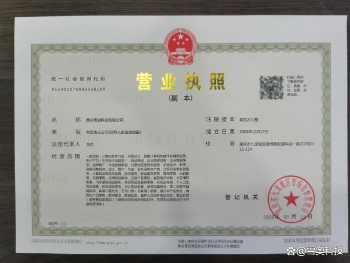 ai优化工具新标杆:重庆雪奥科技如何助力企业赢在数字营销新时代